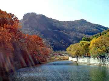 澳门二四六天天彩图库，日本带锯